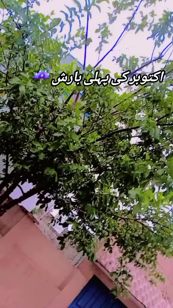 @🎀⚘️Superior ki hun🎀⚘️
