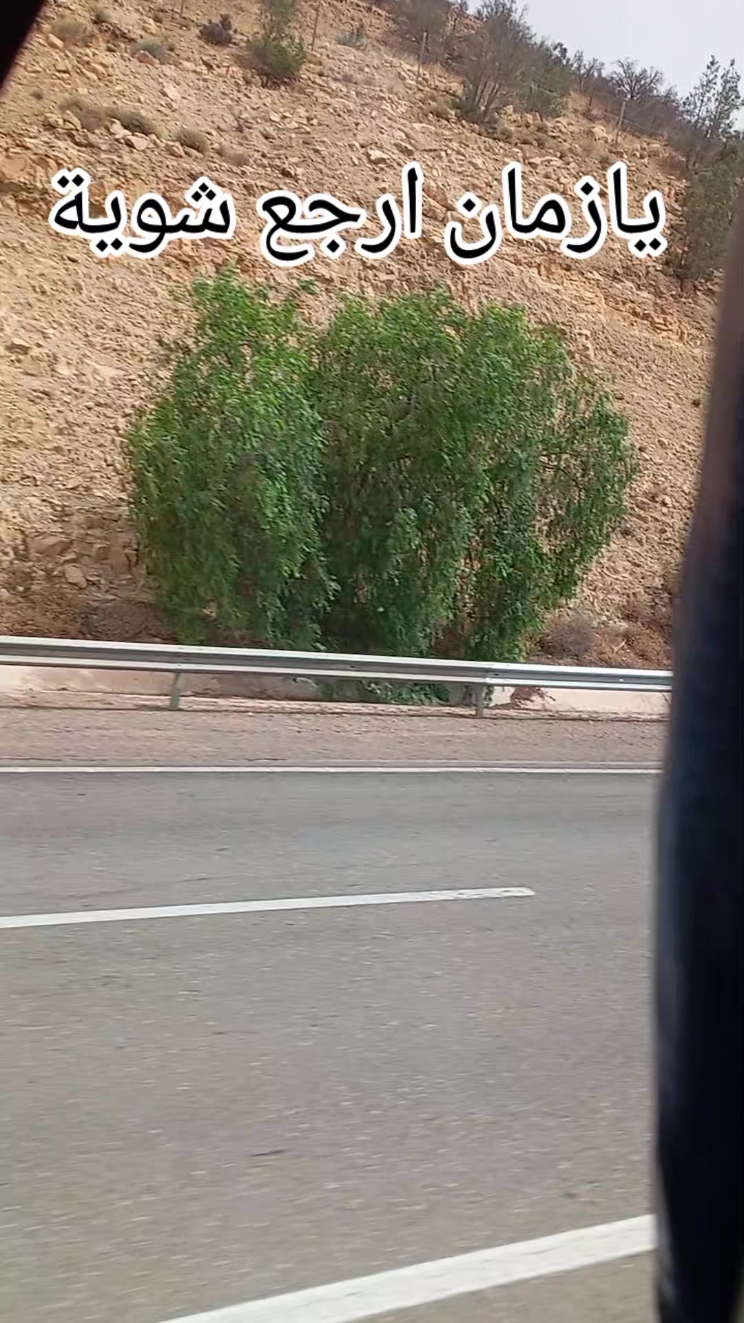 @ياسمين التيكتوك