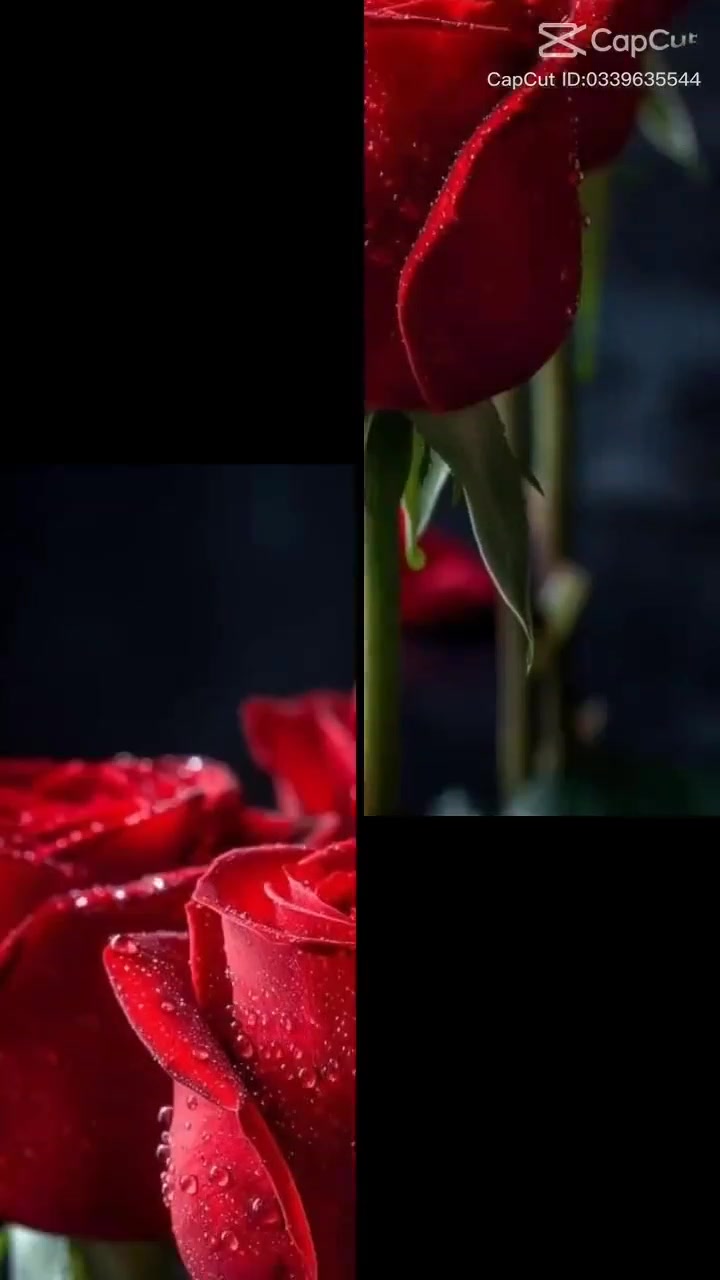 @बराइली अन्जना