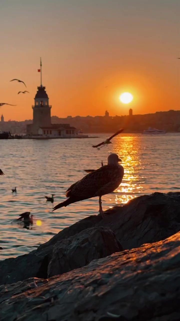 @🇹🇷AHMED🇹🇷