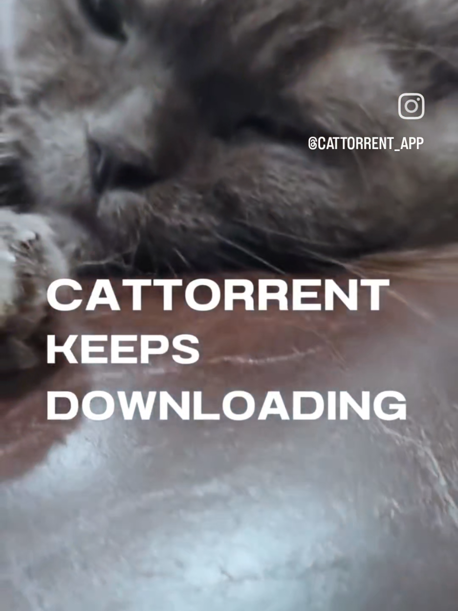 @CatTorrent