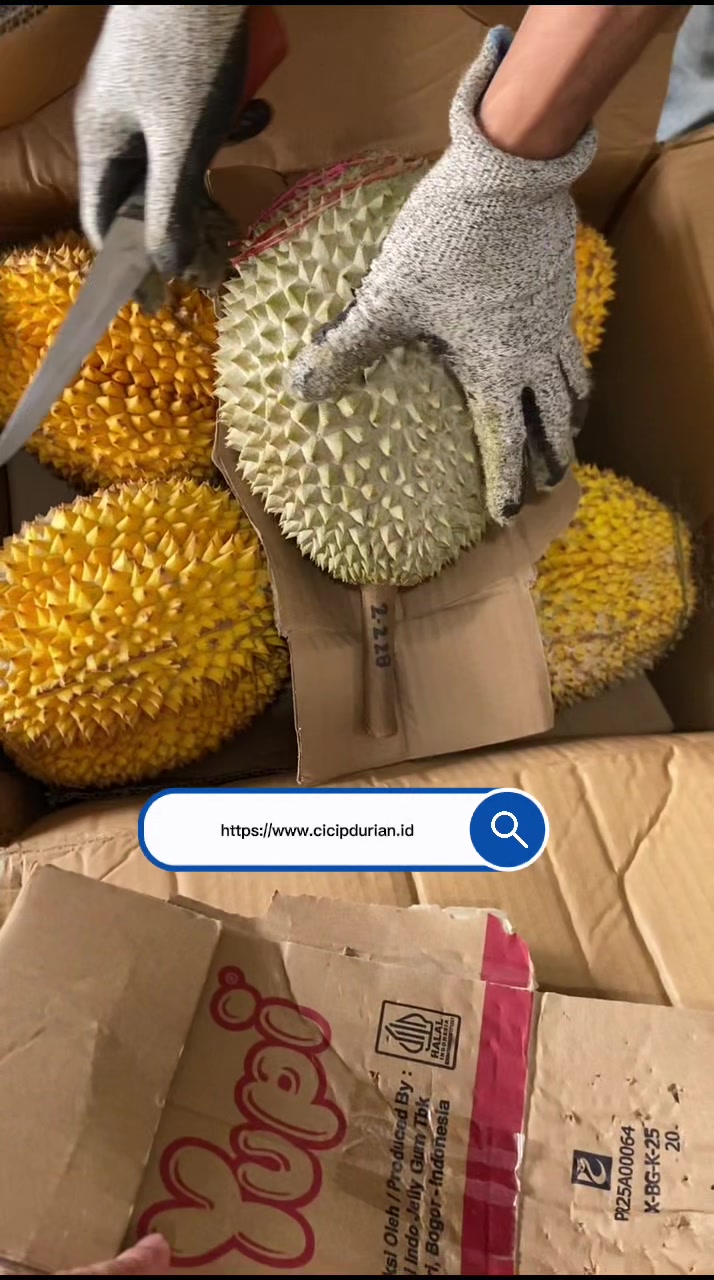 @Cicip Durian