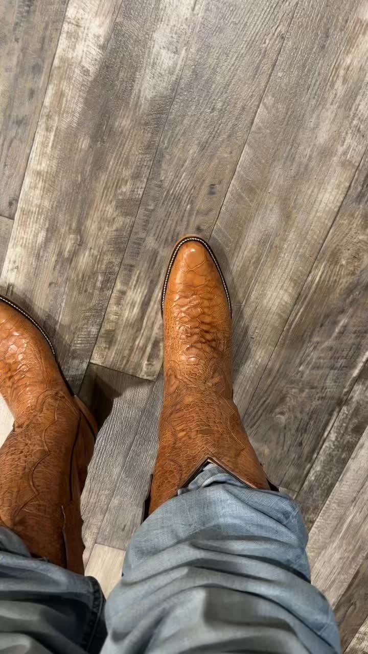 @Pedrezzy85
