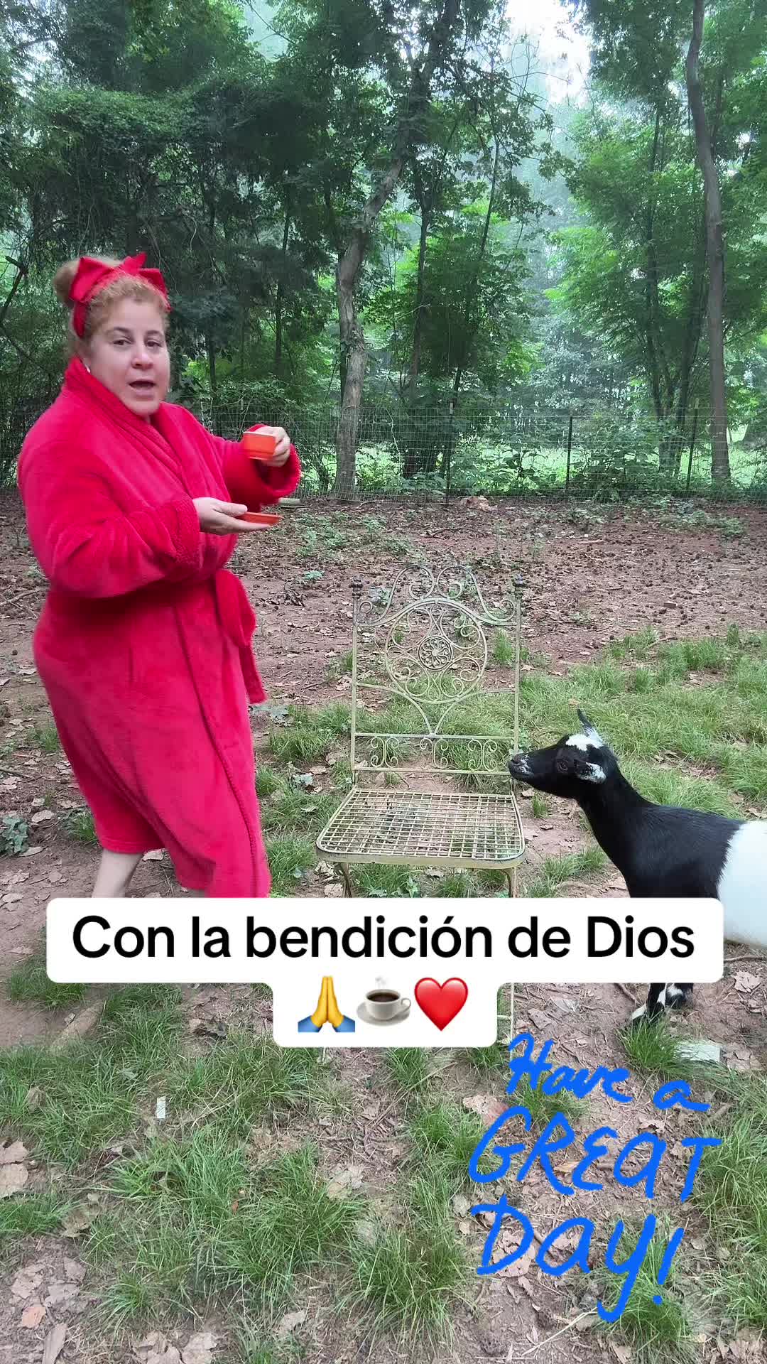 @Soleny