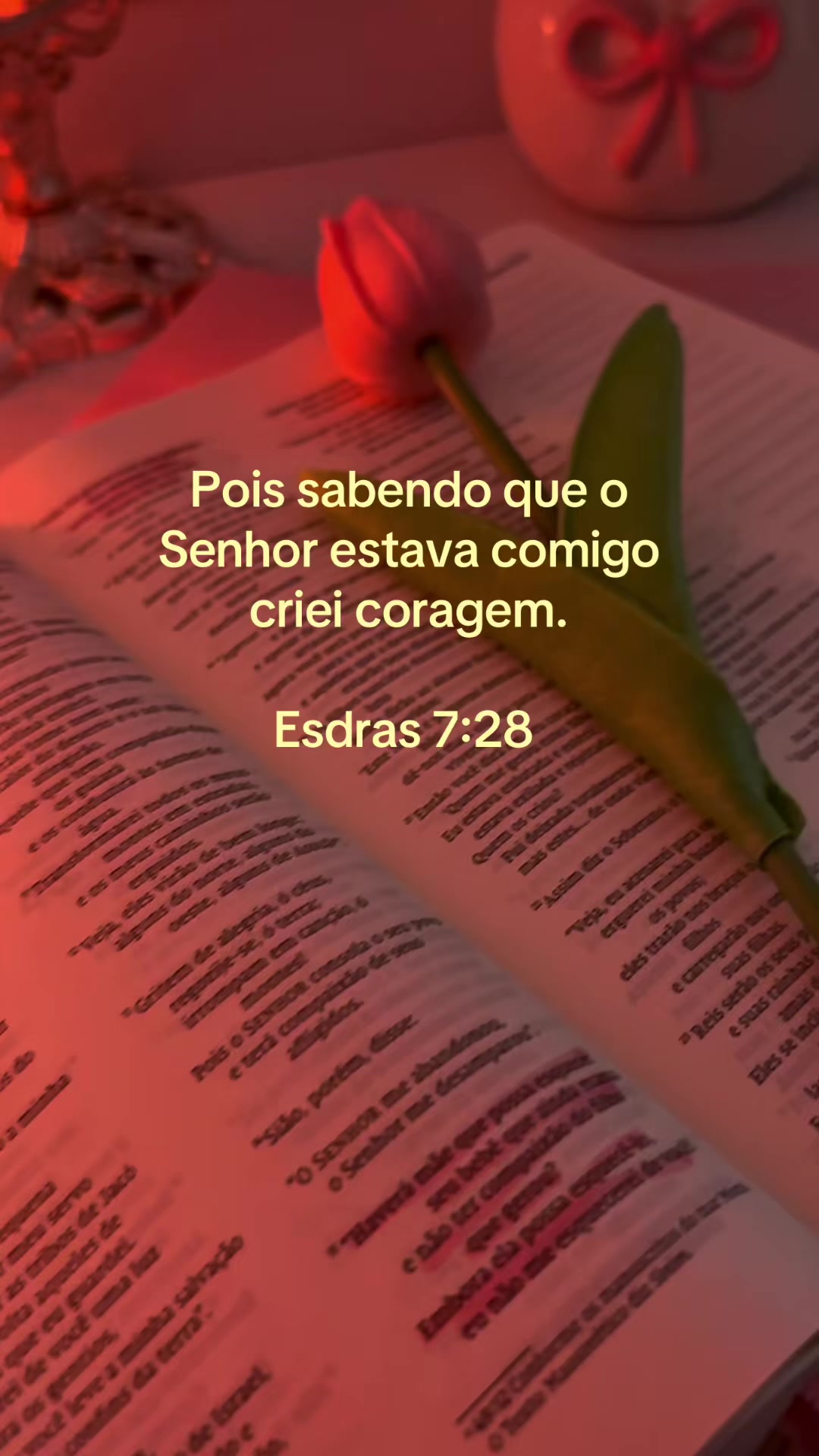 @Ilustrando Seu Amor