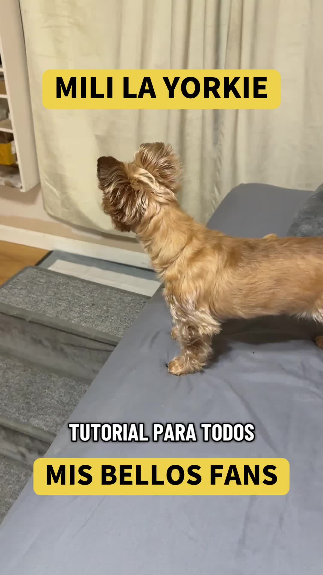 @mili_la_yorki