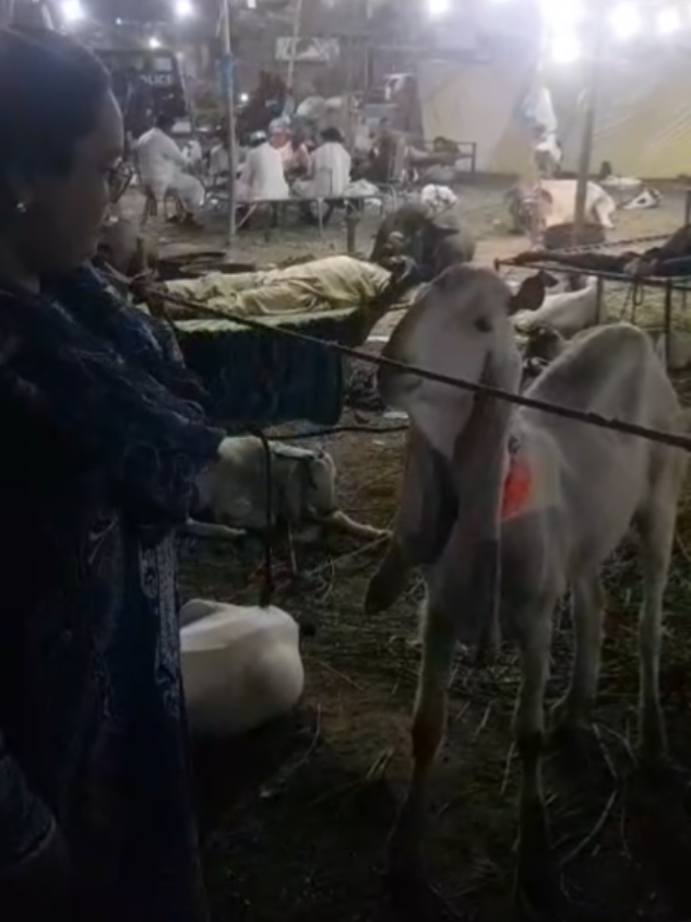 @Dr.Uzma Siddiqui