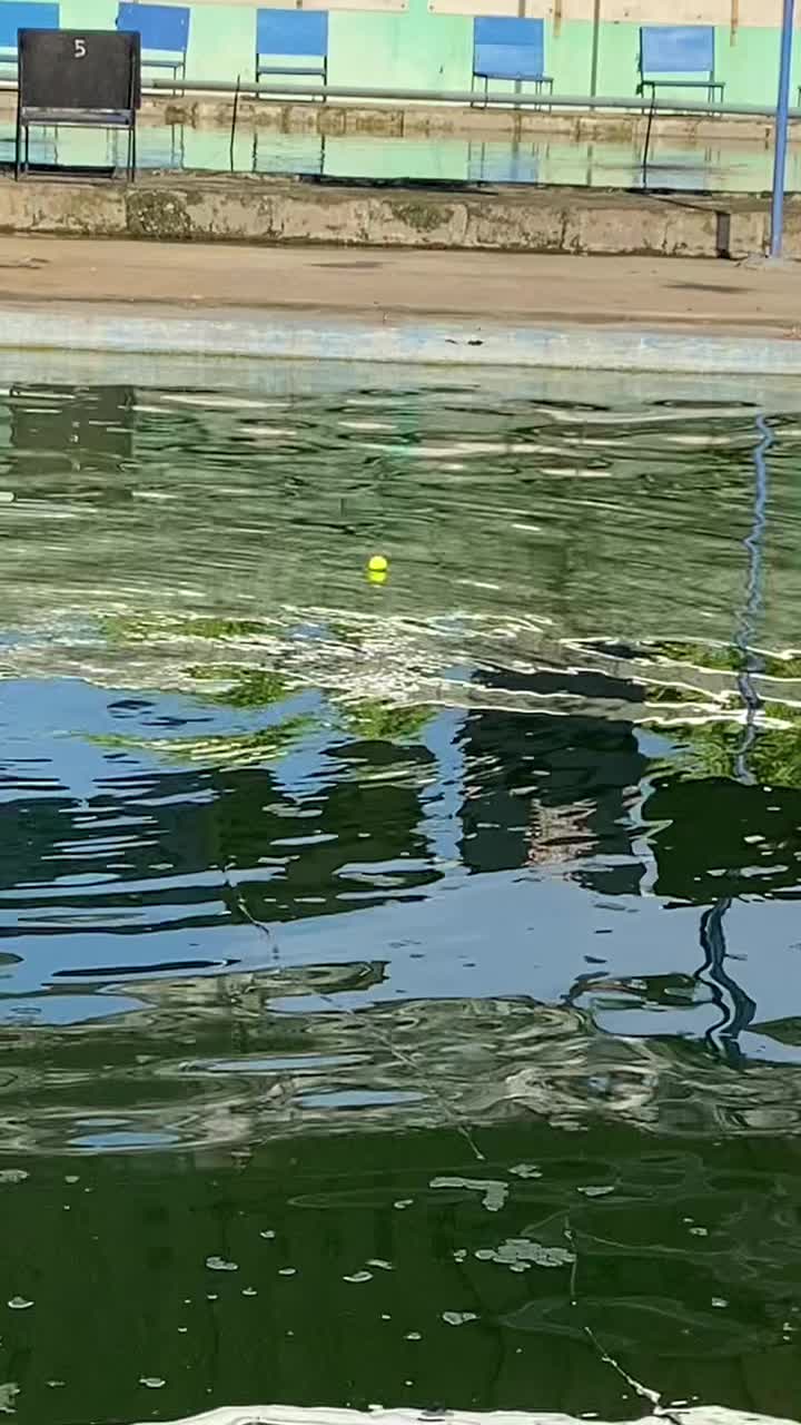 @BINZZFISHING