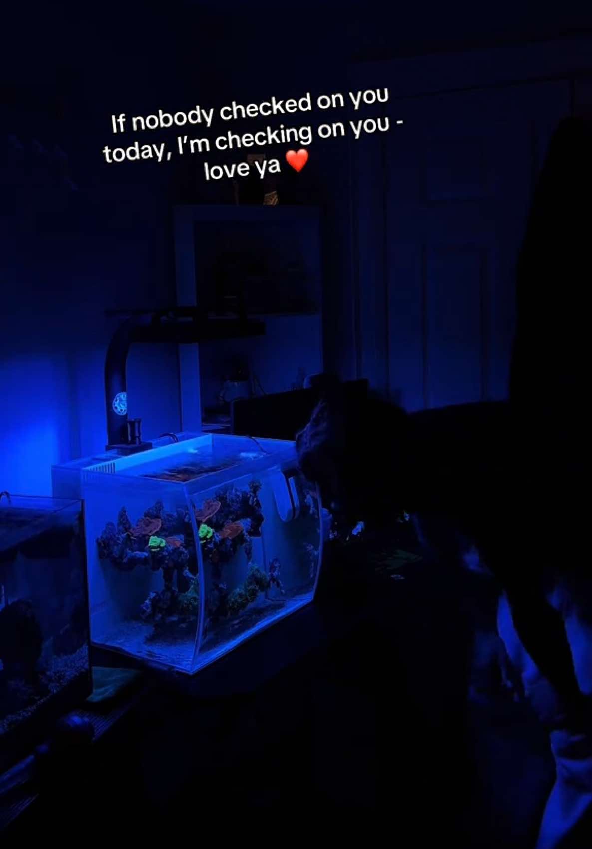 @ReefSync