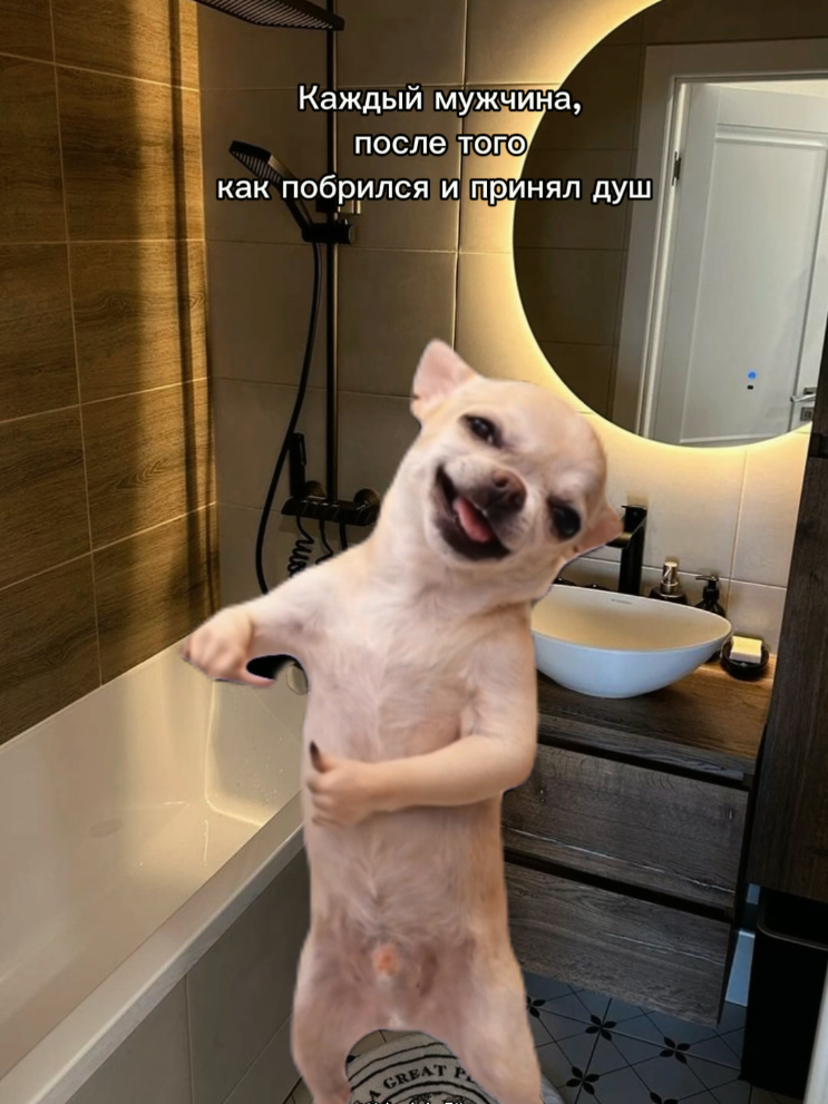 @𝑳𝒚𝒅𝒎𝒊𝒍𝒌𝒂シ︎