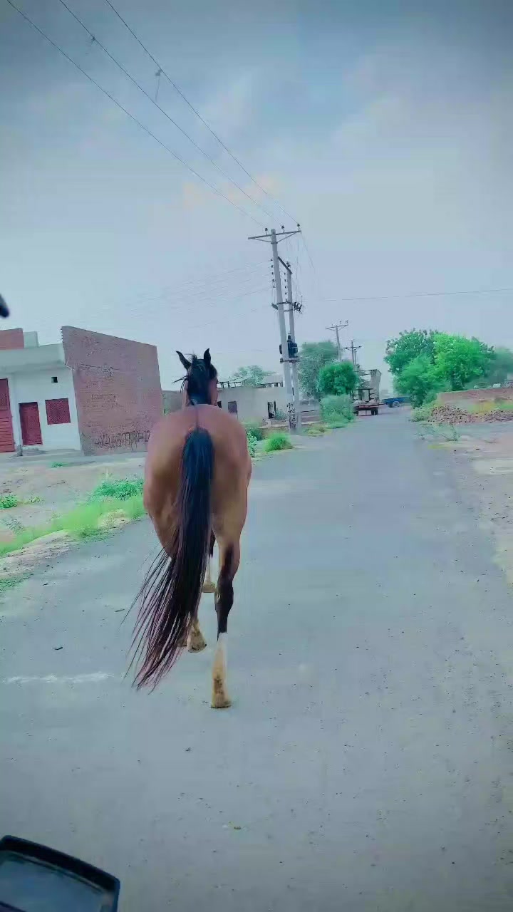 @💥Hamza Shikari 🔥