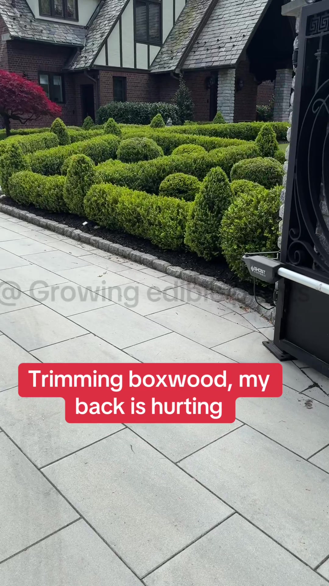 @GROWING_EDIBLE_PLANTS