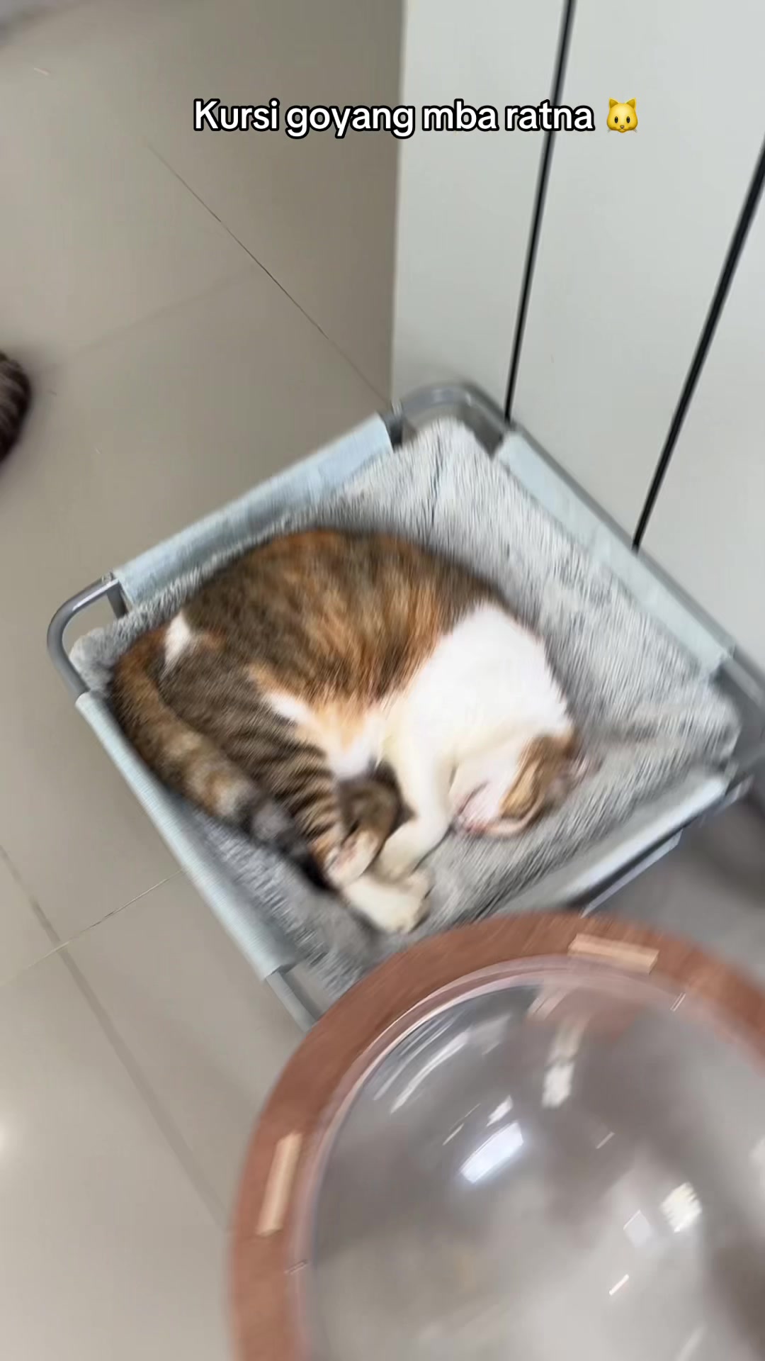 @Rapalguna | bapakkucing 🐱