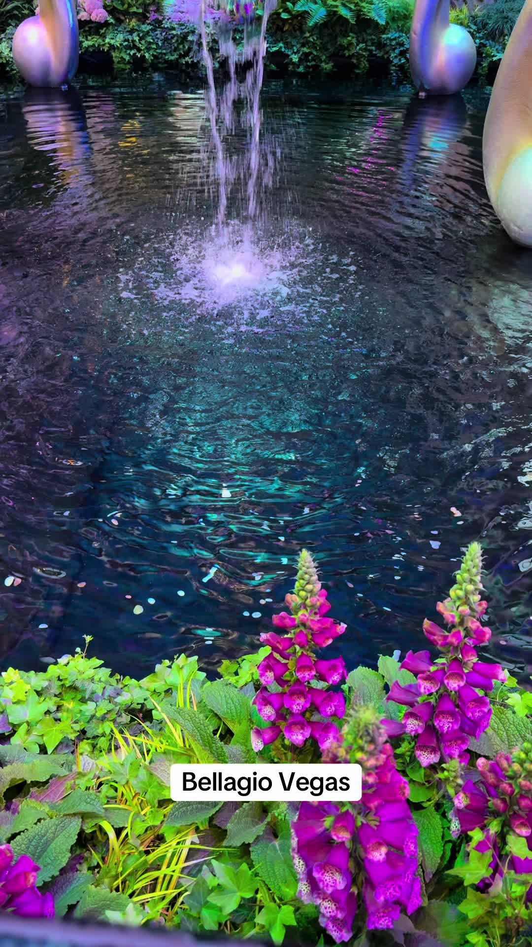 @explore.your.world_