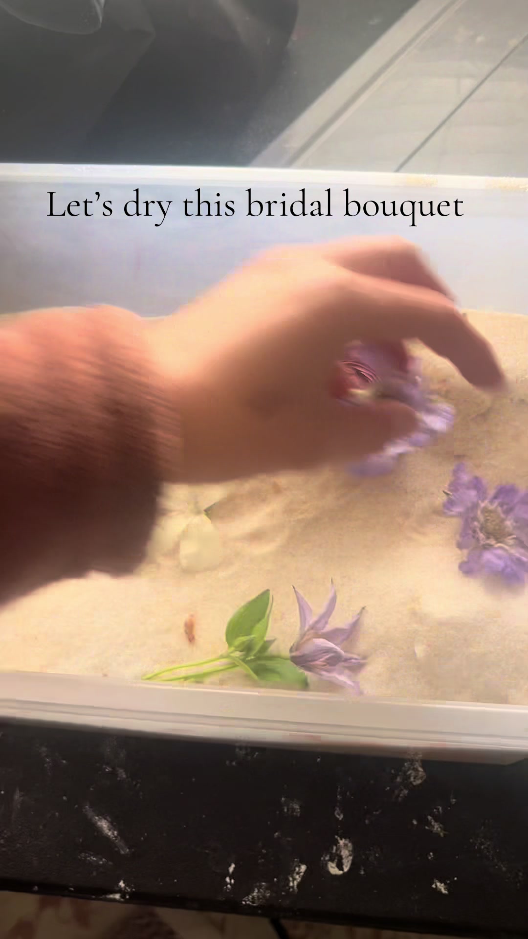 @Brookesforeverflowers
