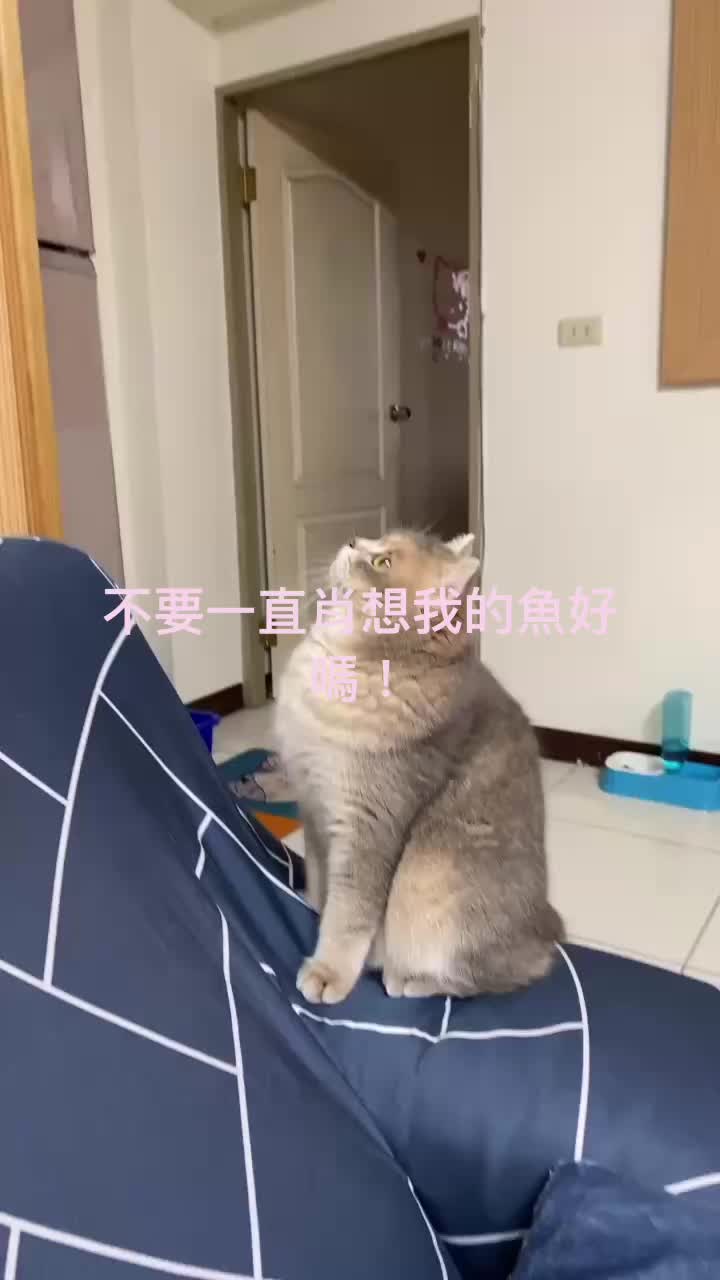@🍀吳憂吳慮-禮儀師🍀