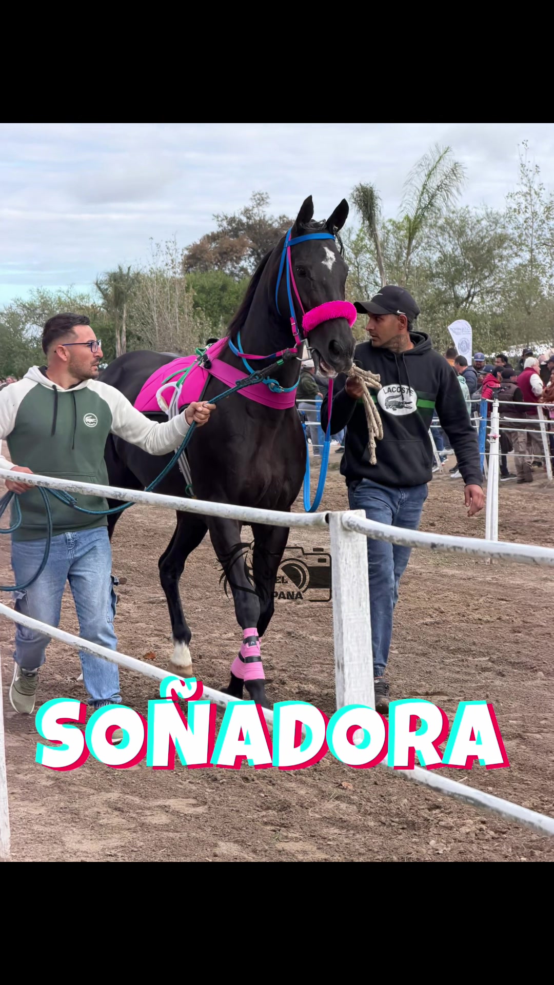 @el_pana_trh