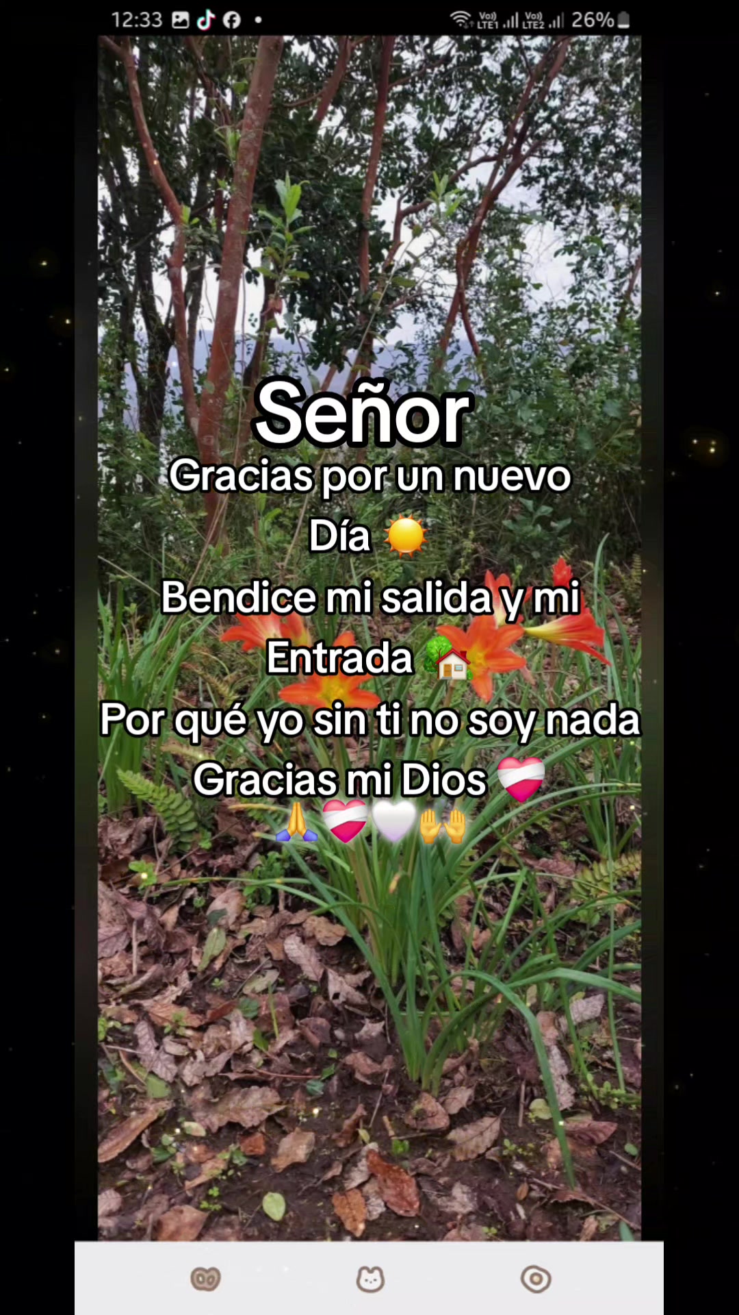 @salome mendez