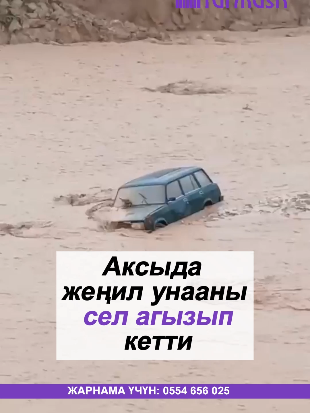 @turmush.kg__