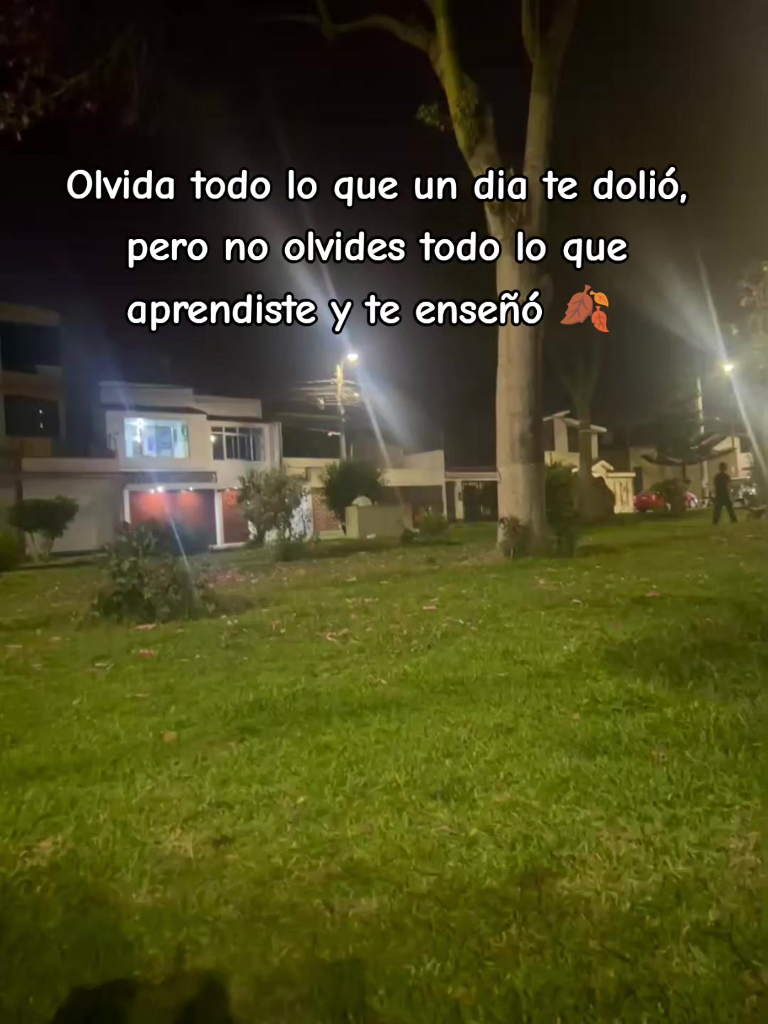 @🍂✨ Erika🌻🦋