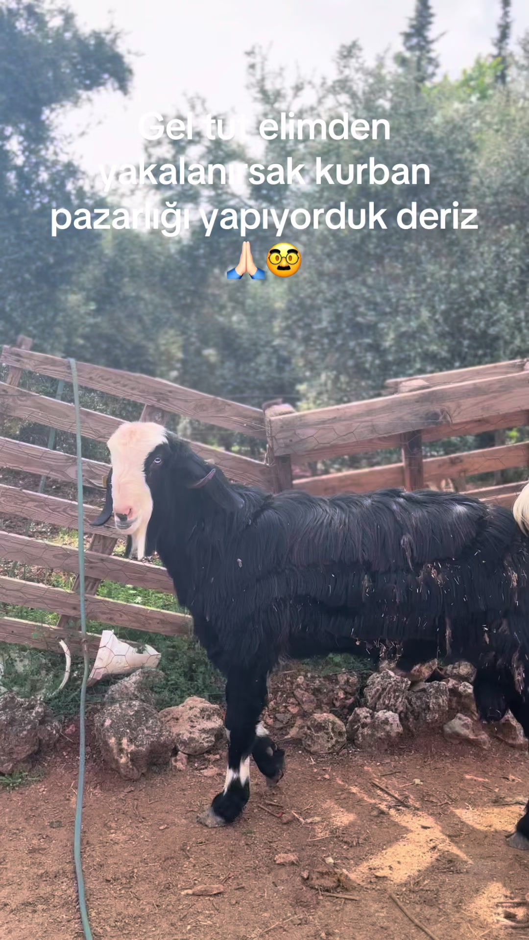 @efe_u1