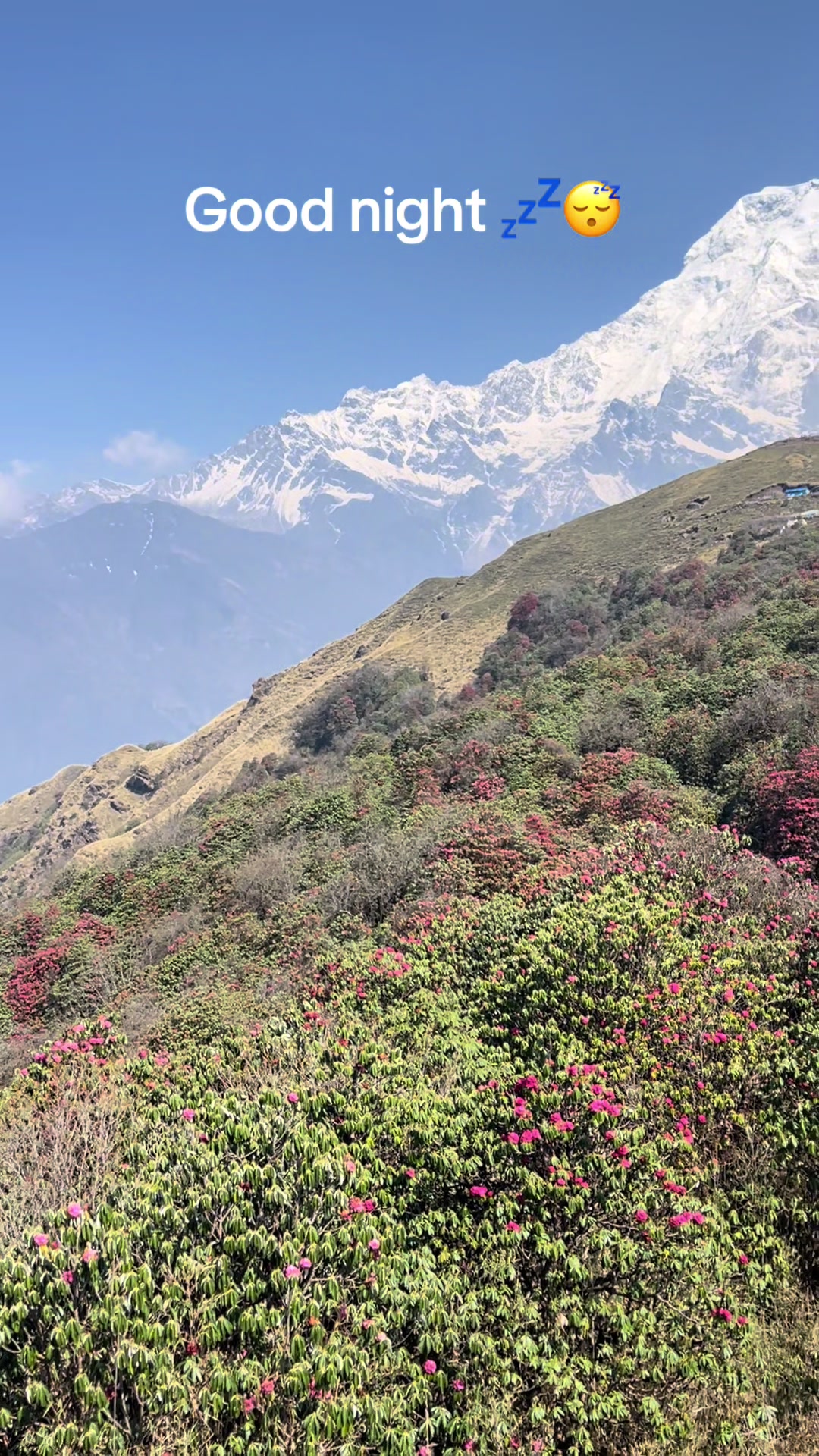 @himalayan_trekking_diary