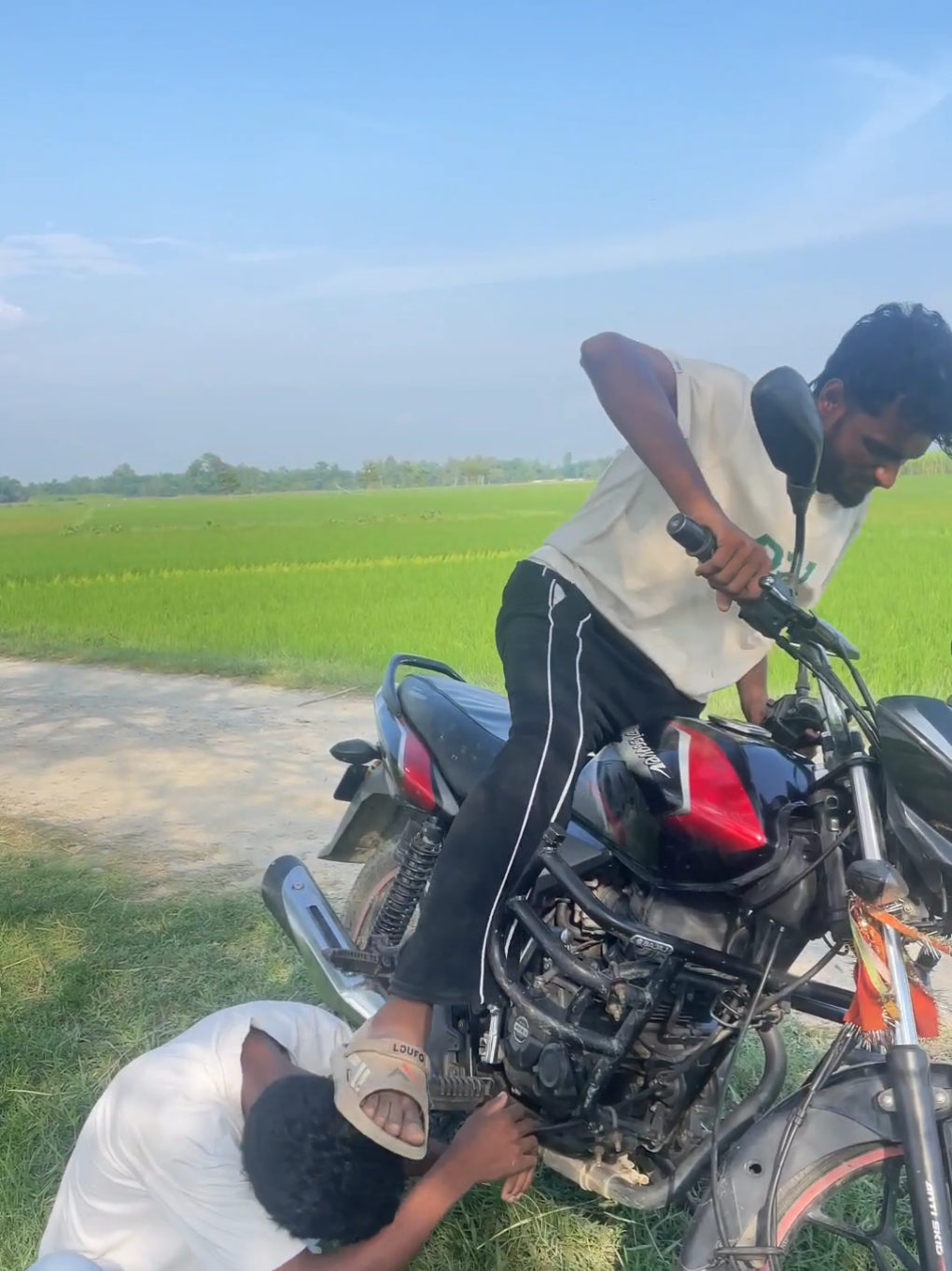 @Ali ansari(علی انصاری)🦚