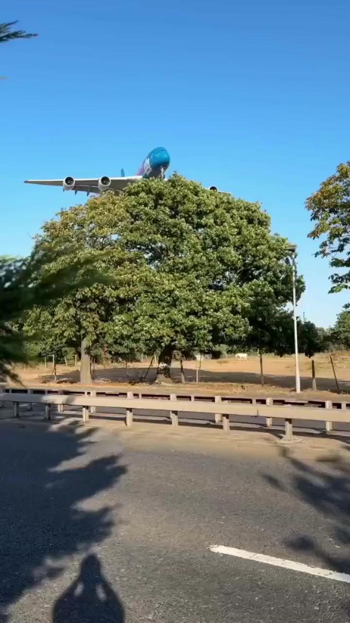 @@rafaelgo153