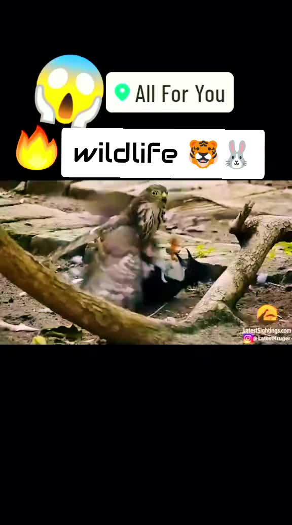 @🅣̣̣̣ 🅤̣̣̣ 🅜̣̣ 🅚̣̣ 🅞̣̣ 🅝̣