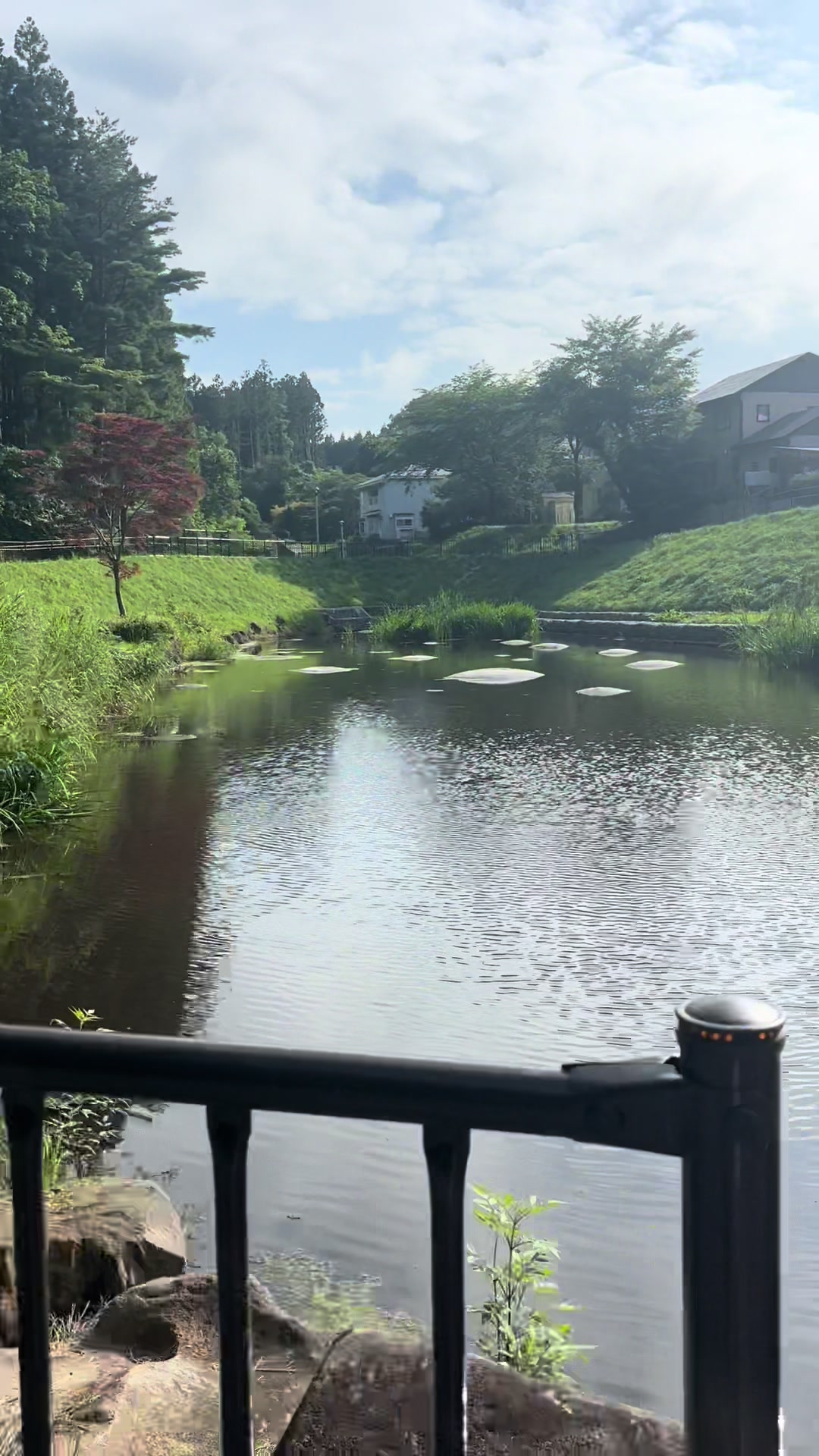 @Godzella 🥰 🇯🇵🇰🇷🇵🇭