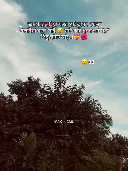@MAX 🕷️ CML