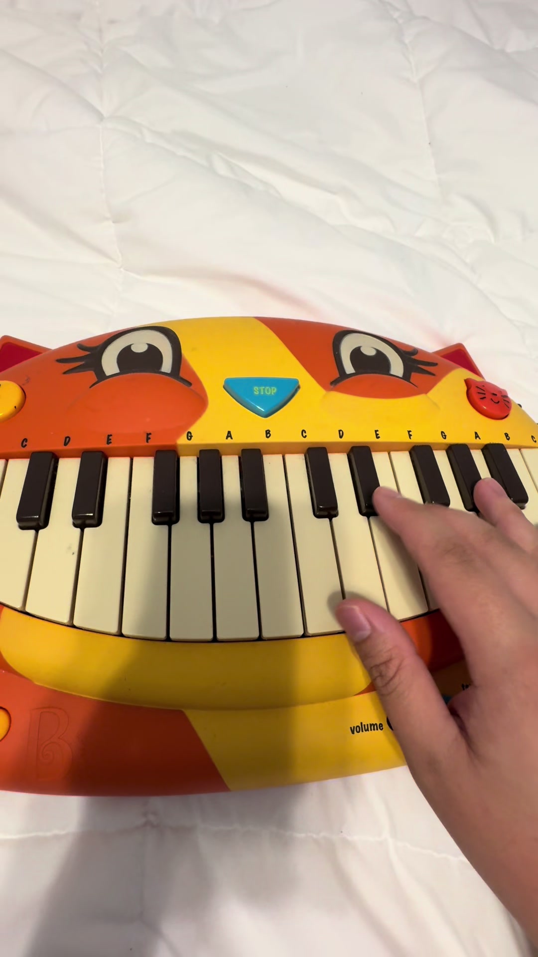 @Dave the Cat Piano