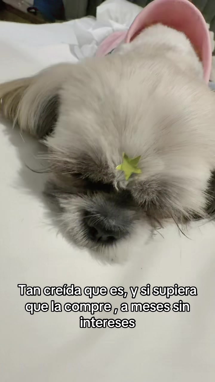 @lA GÜERA DE ZAPOPAN LGZ