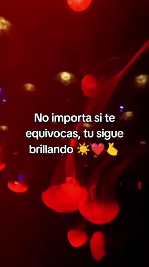 @Jocelyn Sauria Rex 🐦🔥🦊🦖❤️