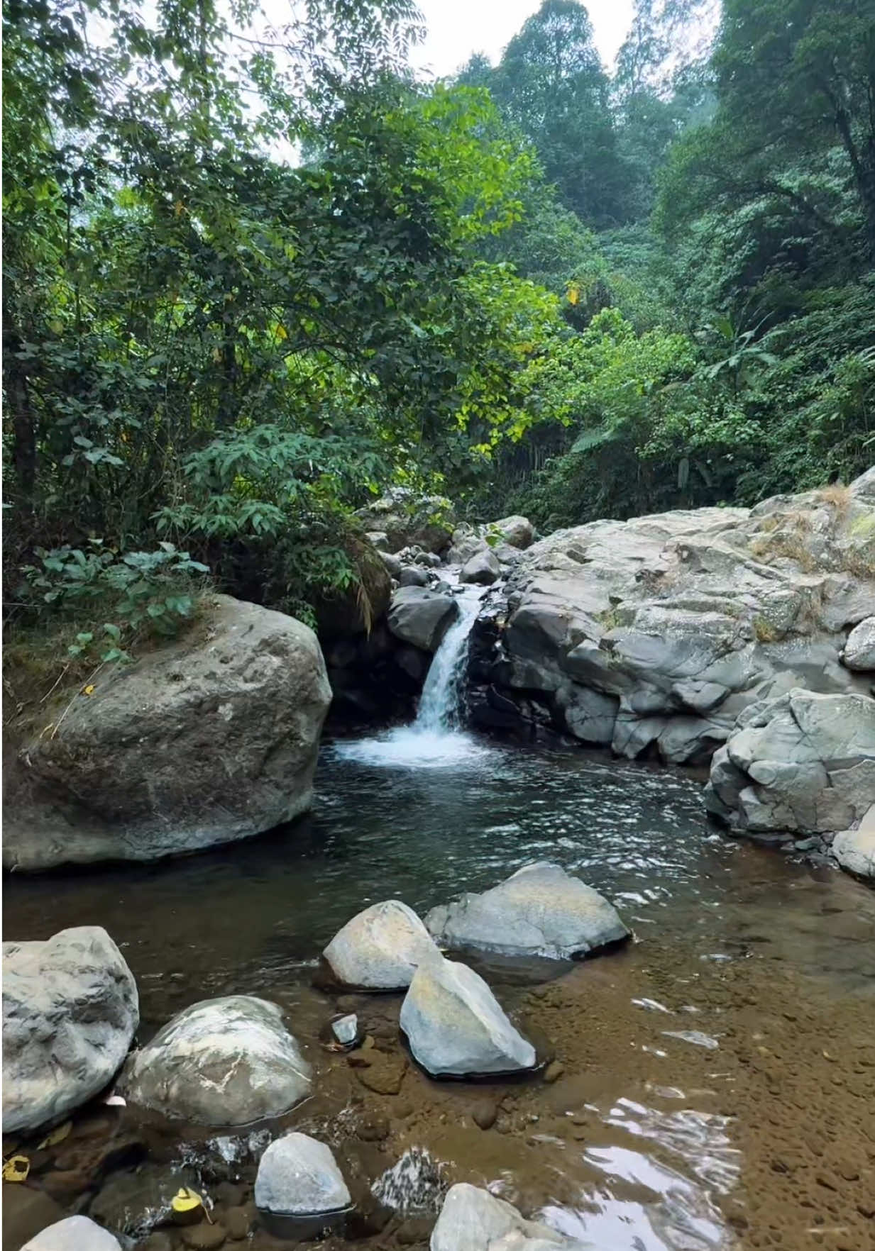 @Purbalingga