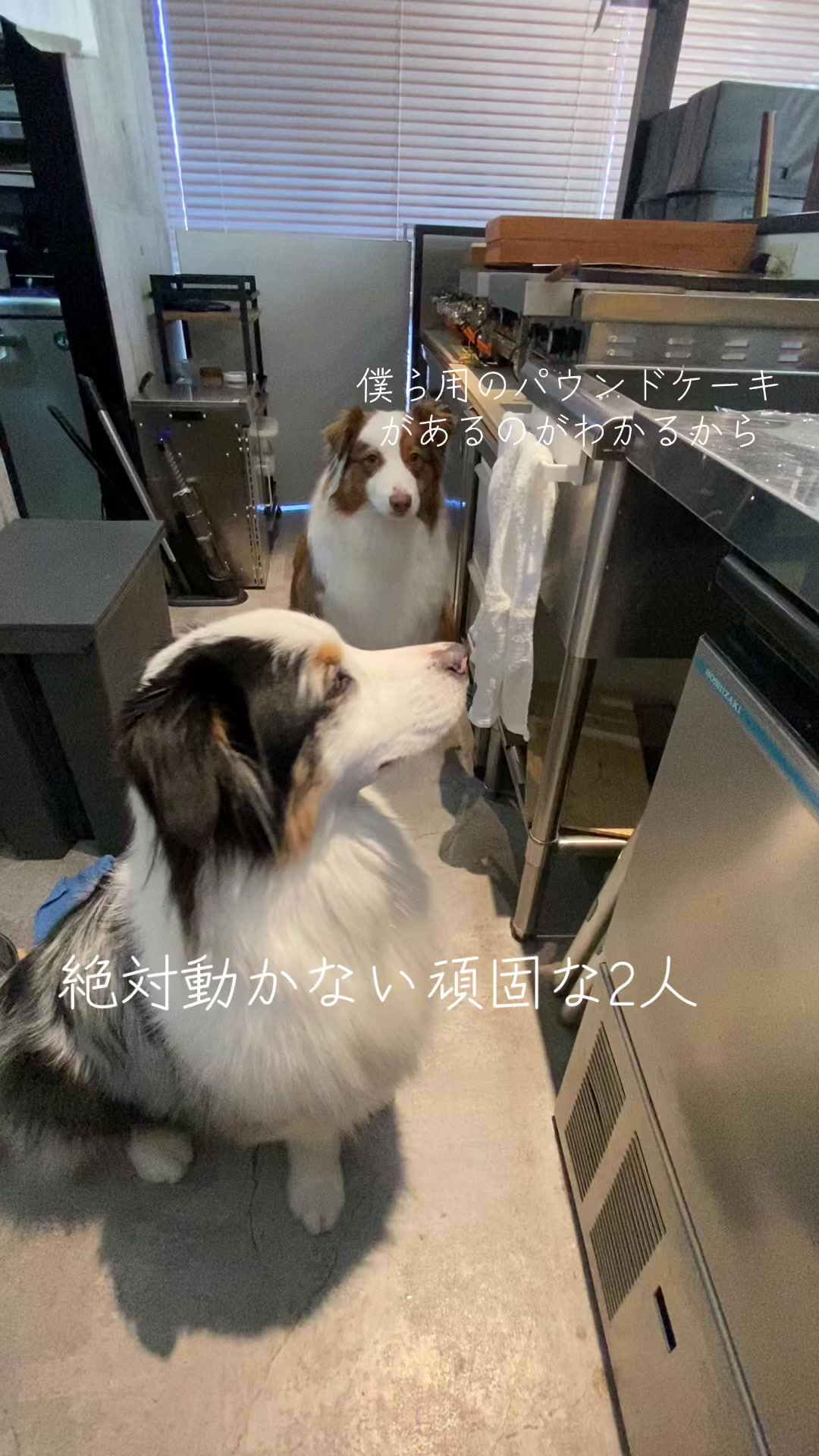 @サン&タマ