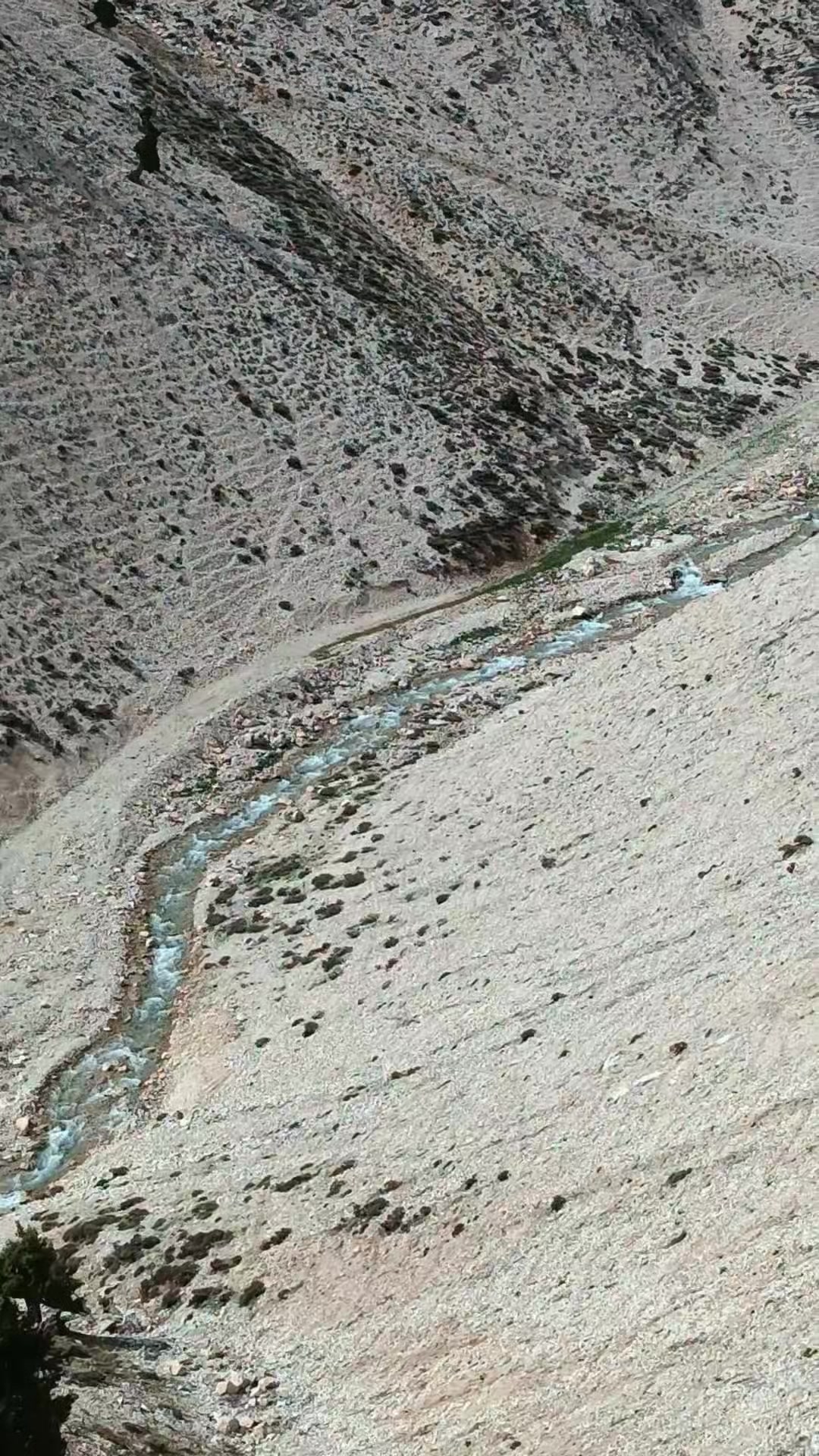 @DAĞCI.46