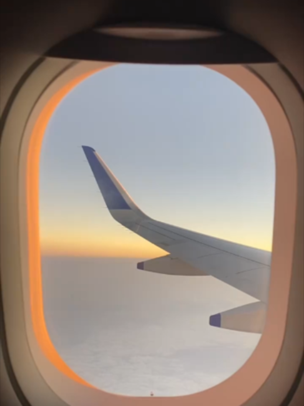 @mynztrip.com