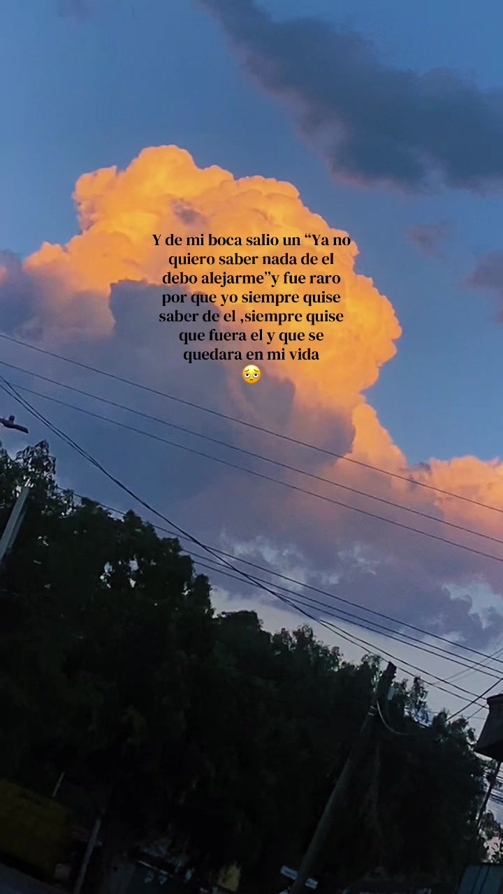 @vane vc