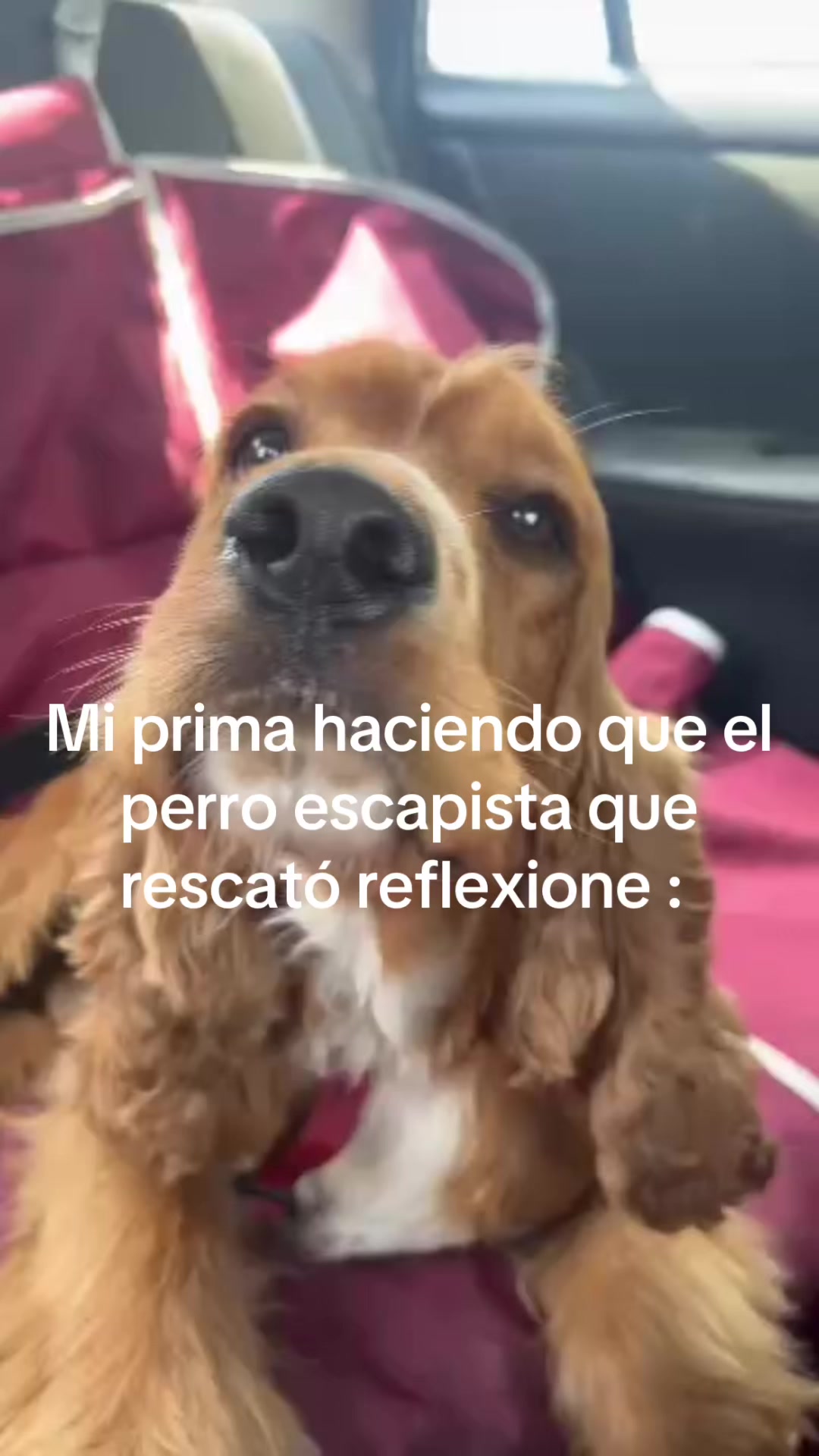 @Xiomara Ochoa