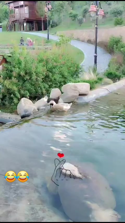 @ส๐๐ค๐๐ซ ๐๐๐ซ๐