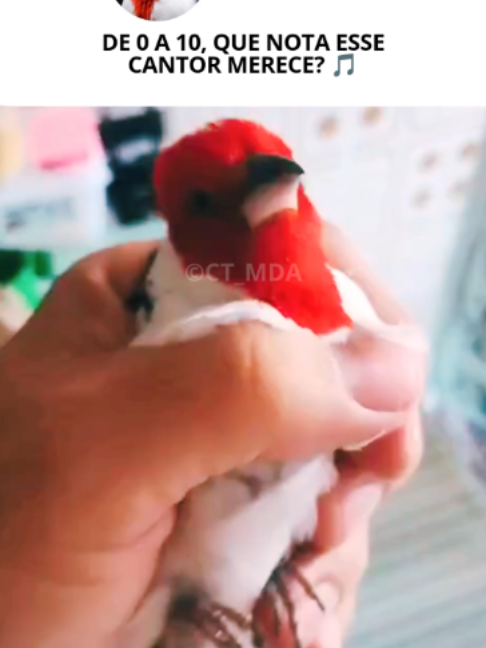 @@ct_mda