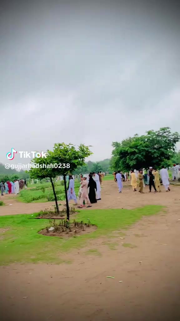 @Malik Hammad302