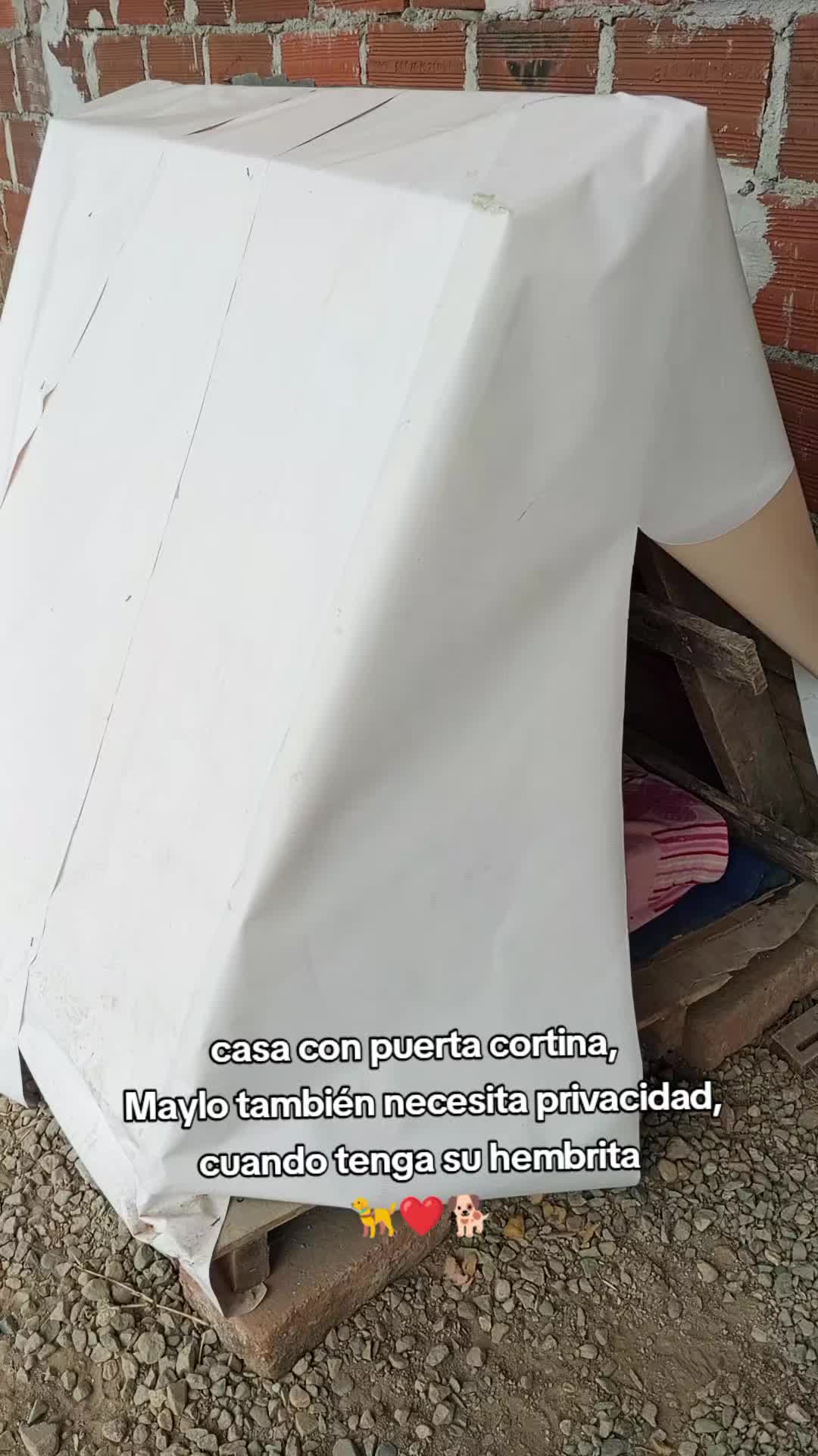 @ALFYULE