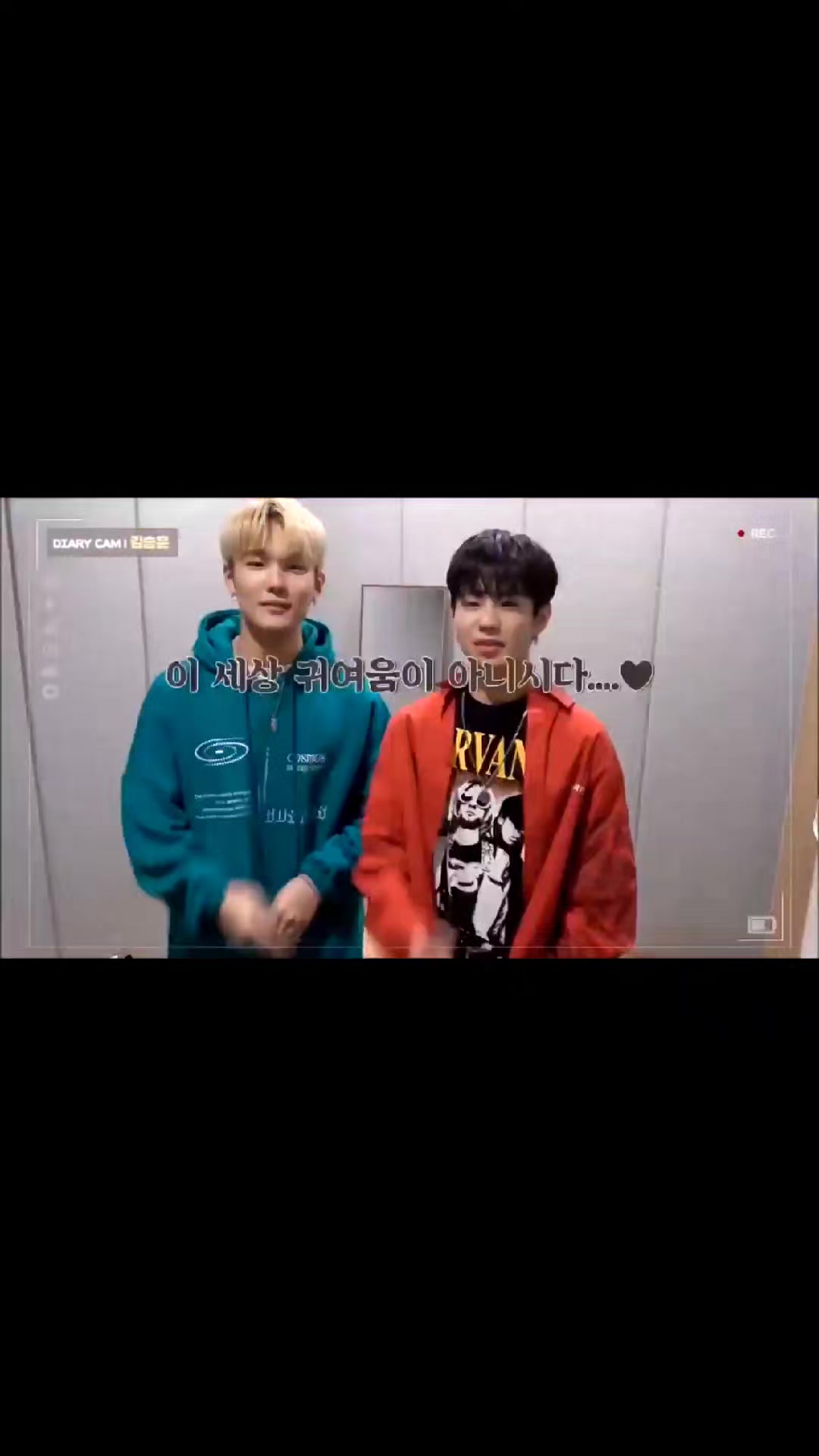 @냥타・ω・✦