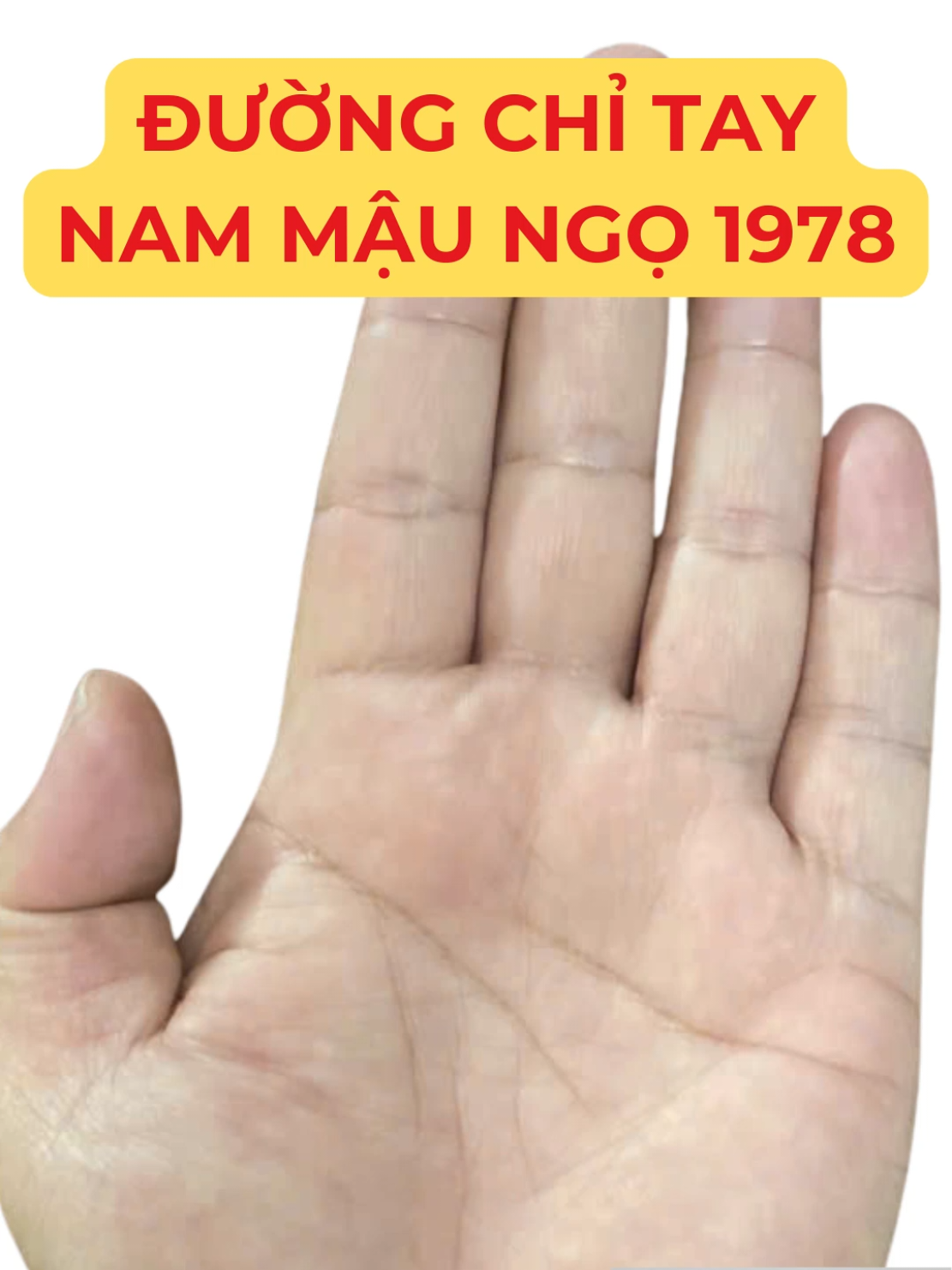 @Học Xem Chỉ Tay