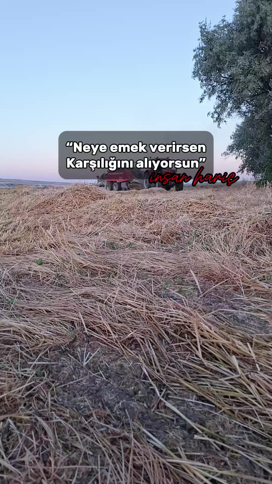@YORGUN 6868