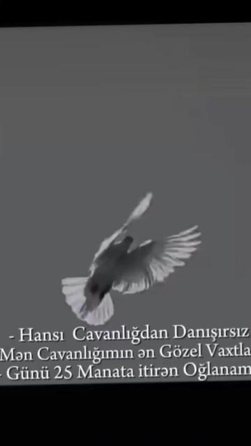 @🖇️ Аскерли🖇️