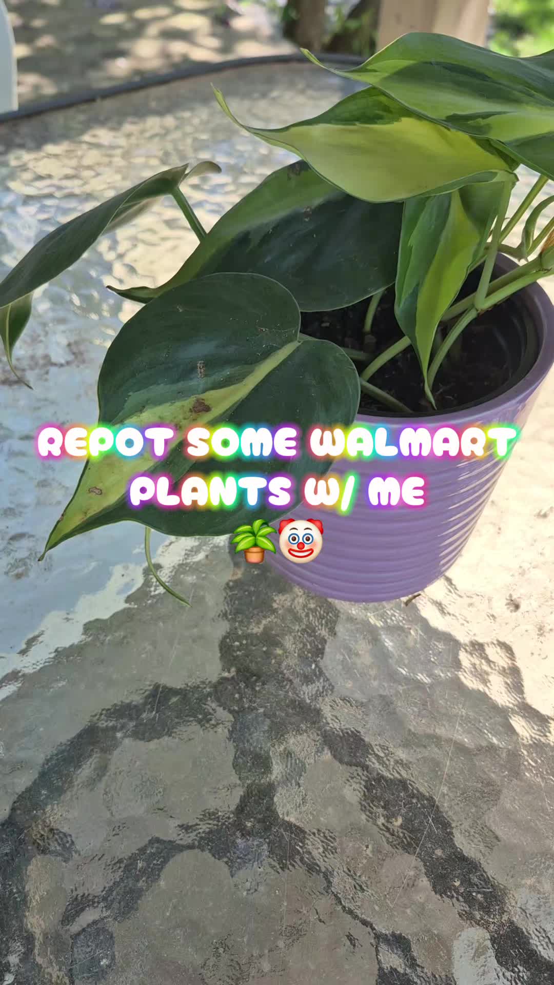 @snifflestheclown