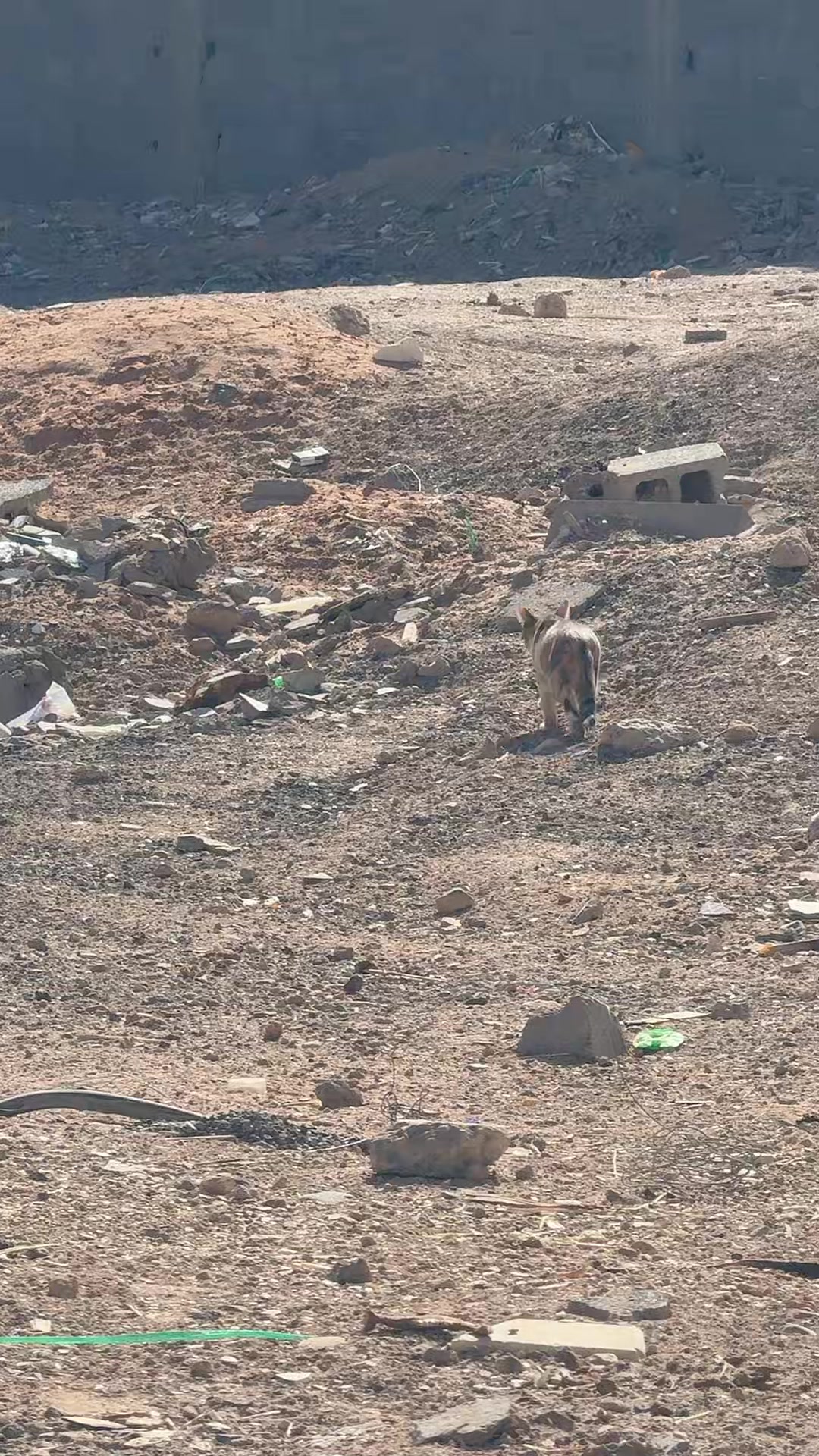 @ابوعبدالله